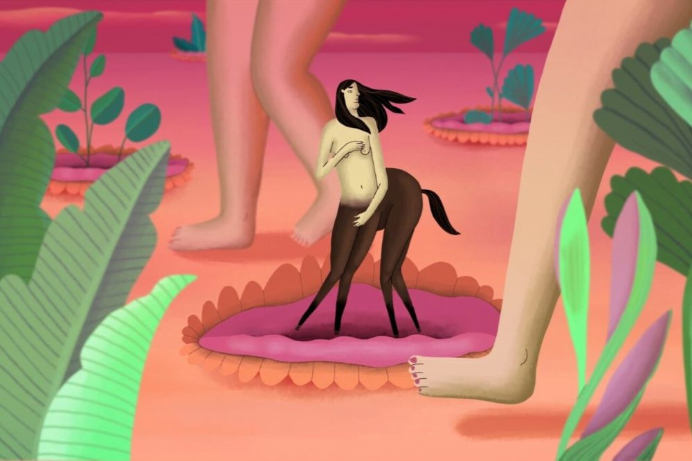Shoes and Hooves