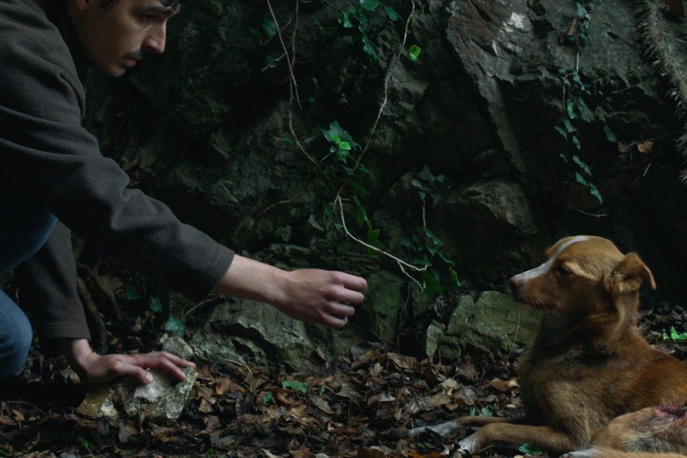 Vjetre, pričaj sa mnom