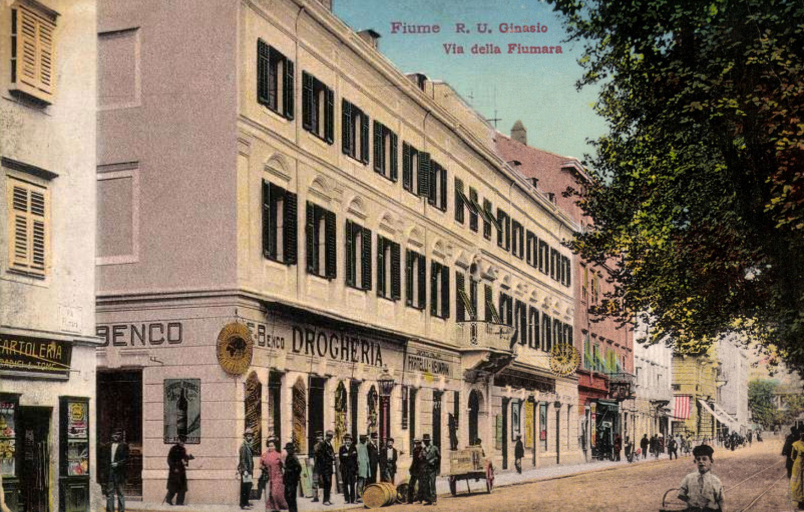 Kino koraci