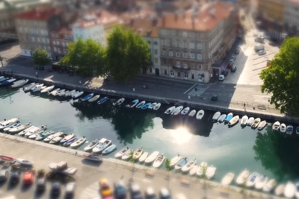 Dom mladih predstavlja - izbor nagrađivanih filmova