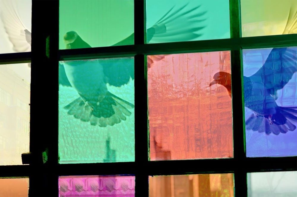 Međunarodna selekcija kratkometražnih filmova 3